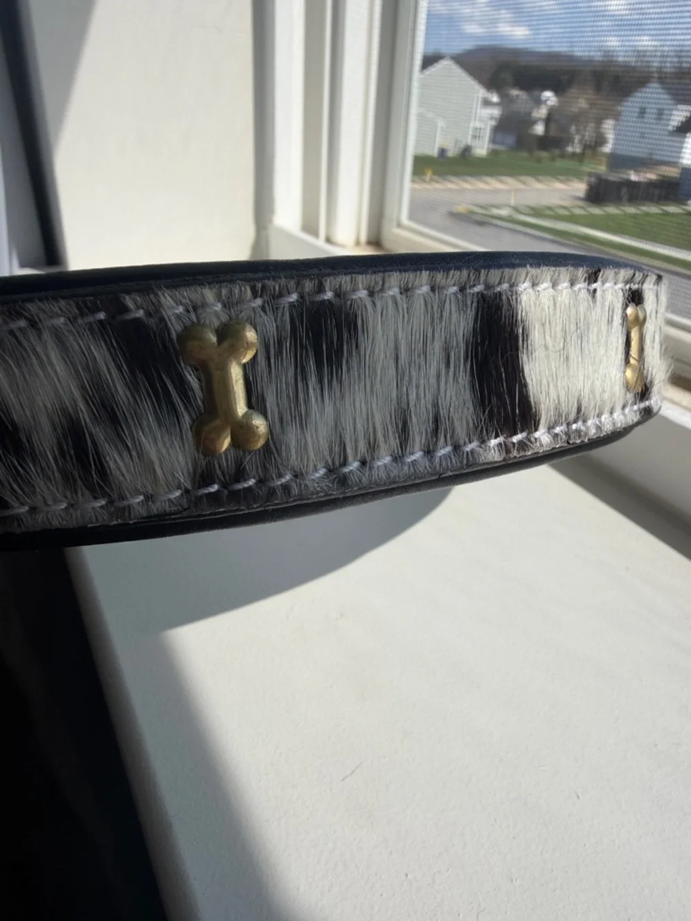 Myra Bag Black and White Cowhide Leather Dog Collar with Gold Hardware